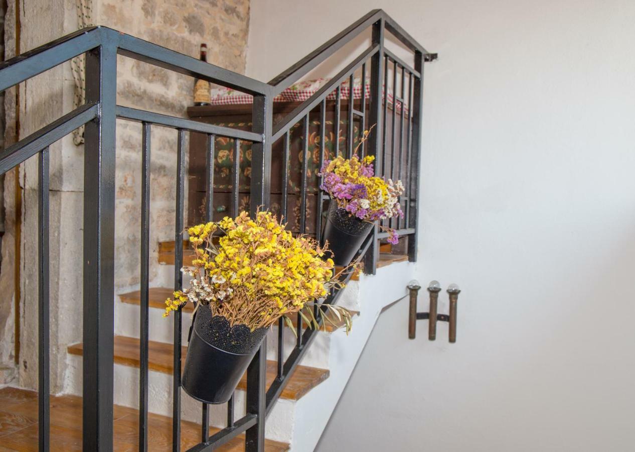 Villa Di Piazza Višnjan Extérieur photo